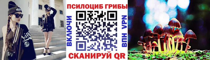 купить  цена  Сердобск  Галлюциногенные грибы прущие грибы 