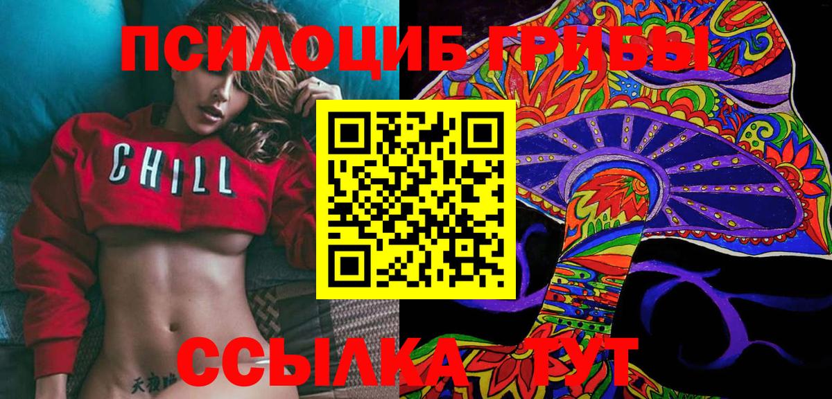 Сердобск  Псилоцибиновые грибы Psilocybine cubensis  Вход с VPN 